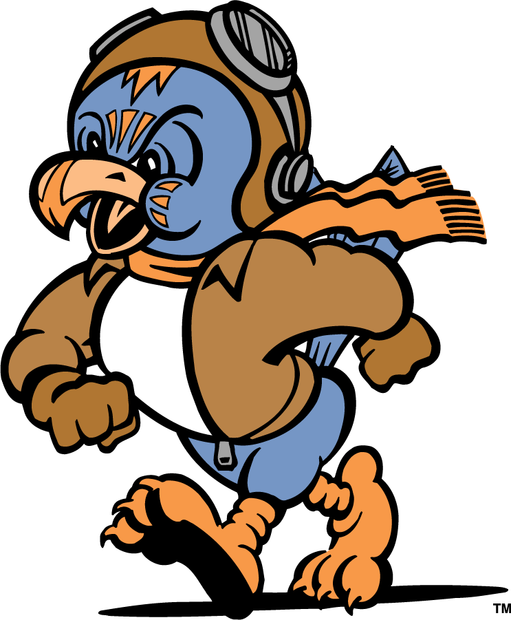 Tennessee-Martin Skyhawks 1995-2007 Mascot Logo diy DTF decal sticker